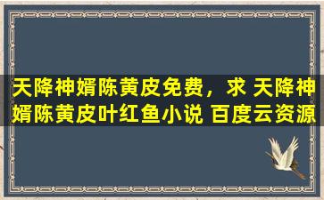 天降神婿陈黄皮免费，求 天降神婿陈黄皮叶红鱼小说 百度云资源,谢谢